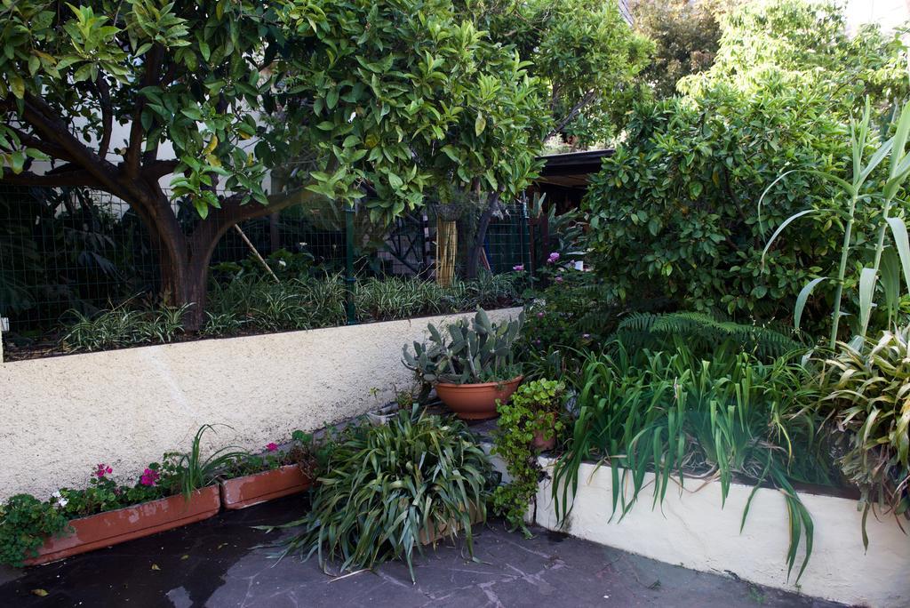 Casa Rural de Tío Félix Vega de San Mateo Extérieur photo